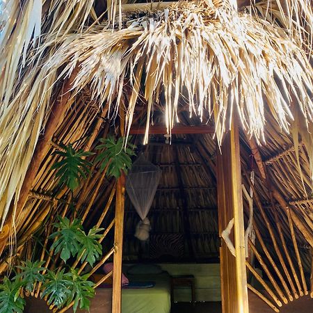 Calypso cabanas El Paredón Buena Vista Exterior foto