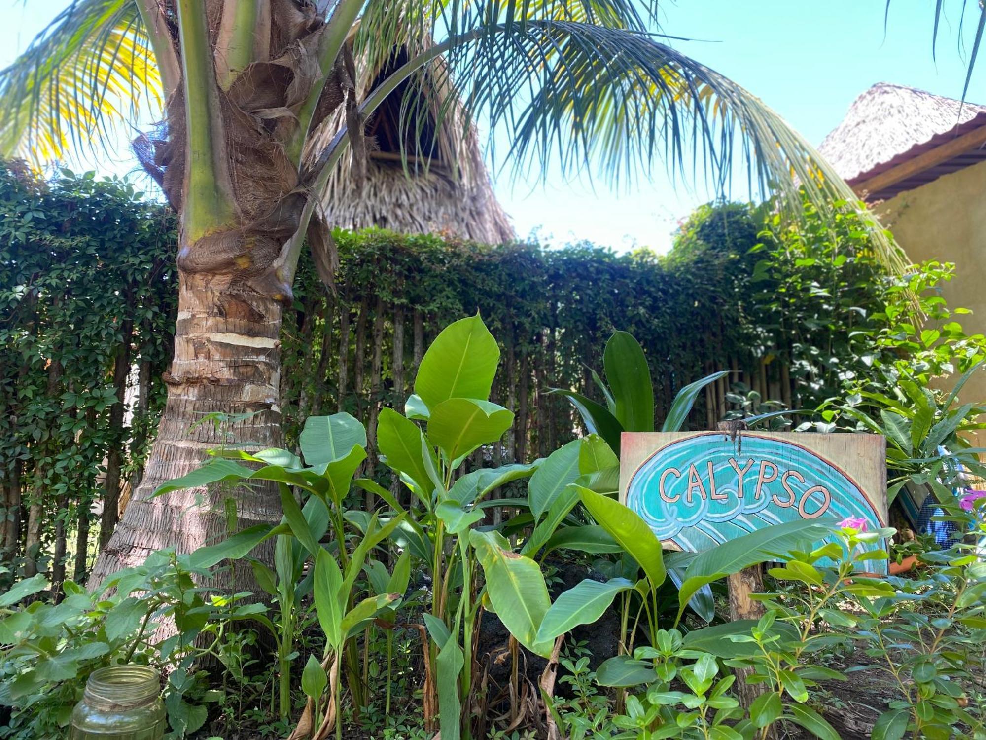 Calypso cabanas El Paredón Buena Vista Exterior foto